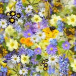 A colorful assortment of spring flowers, showcasing a vivid mix of colors and blooms.